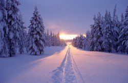 winter 63.jpg