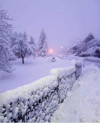 E7F3FA3D-3505-4554-B106-8B9C61A20CB6.jpeg
