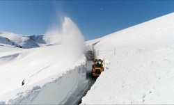 snow 6.jpg
