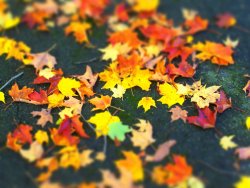 100_6020.jpg