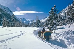 winter 54.jpg