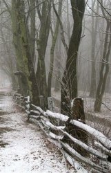 C5B261E3-7300-466D-8F99-FE0CA58B103C.jpeg