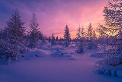 winter - 15.jpg
