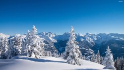 winter - 19.jpg