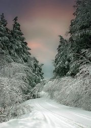 A37FD650-EC1B-468F-9076-7A242FE28C2C.jpeg