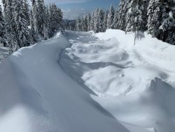snow 5.jpg