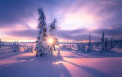 winter 64.jpg