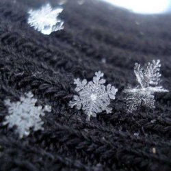 snowflake 3.jpg