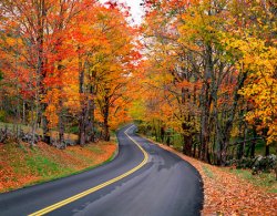 autumn 52.jpg