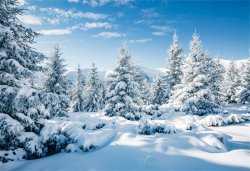 winter 61.jpg