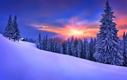 snow 13.jpg