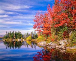 DF92A74A-61DB-4544-BBFB-C6A48BEAABCD.jpeg