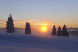 winter - 14.jpg
