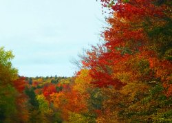 DSCF7419.JPG