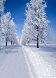 winter 8.jpg