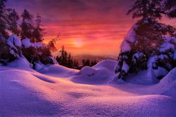 winter - 17.jpg