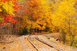 autumn 51.jpg