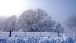 winter 51.jpg