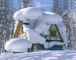 winter 10.png