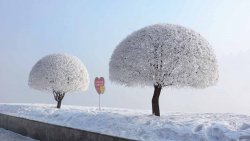 winter 2.jpg