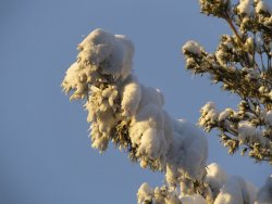 DSCF1166.JPG