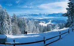 winter - 21.jpg
