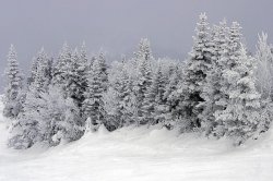 snow 4.jpg