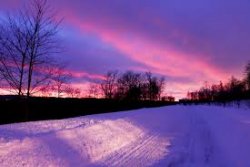 snow 14.jpg