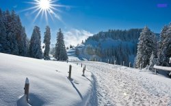 winter 5.jpg