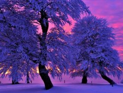 winter sunset.jpg