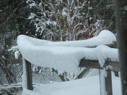 DSCF8043.JPG