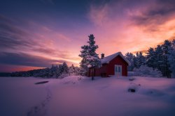 winter 4.jpg