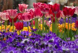 DF52D255-87E4-4C75-AD4E-1467BCF4CB61.jpeg