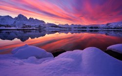 snow 11.jpg