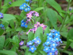 100_3202.JPG