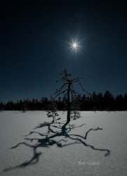 finland 17.jpg