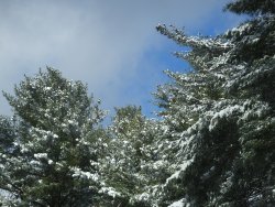 DSCF8063.JPG
