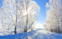 winter - 33.jpg