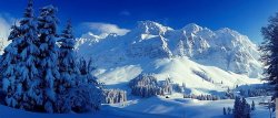 winter 52.jpg