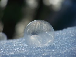 winter - bubb 1.JPG