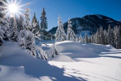 winterlandschaft01.jpg