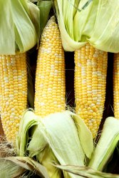 Easy-Summer-Corn-Soup.jpg