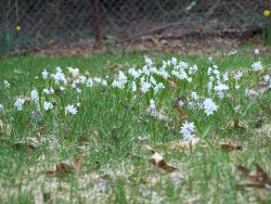 100_0384.JPG