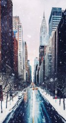 D652D998-707B-47F0-9814-3F57E5E2C51A.jpeg