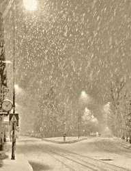 8E44748E-1791-47AE-A0DB-2F3F24FE0104.jpeg