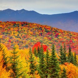 autumn-in-the-white-mountains-of-new-hampshire-royalty-free-image-1568730799.jpg