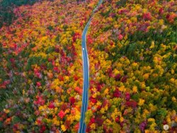 fall-colors-Manish-Mamtani-10-7-2017-NH-e1507586583226.jpg