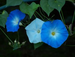 summer - fav 1.JPG