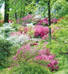 springt 23.jpg
