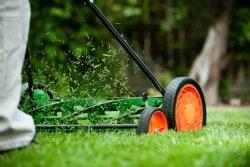 Best_Reel_Mower_Options.jpg